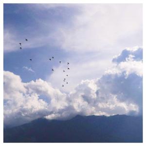 久久一级黄色片
